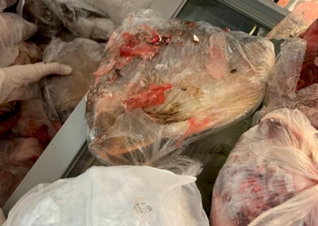 Mantida condenação de comerciante flagrado com 600 quilos de carne estragada em Nova Andradina