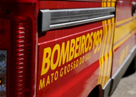Criança é atacada por cachorro enquanto brincava no quintal de casa em Nova Andradina