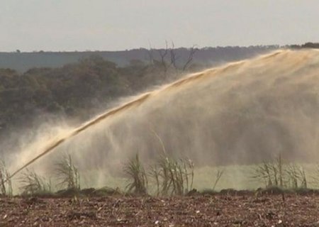 Justiça proíbe descarte excessivo de vinhaça após infestação de moscas