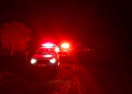 Dono de boi será investigado após animal invadir pista e causar acidente com morte em MS