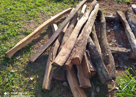Homem é multado em R$ 1 mil por exploração e armazenamento de madeira em assentamento