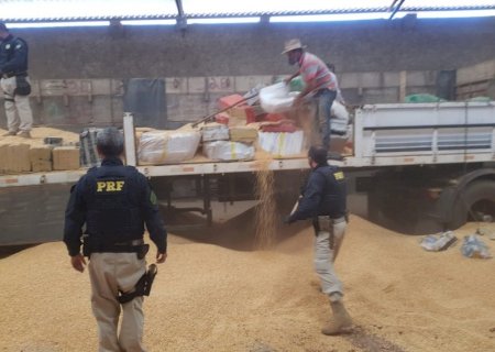 Polícia encontra 9 toneladas de maconha avaliadas em R$ 7 milhões na fronteira