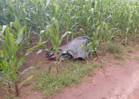 Homem é encontrado morto em plantação ao lado de espingarda e com moto sobre as pernas