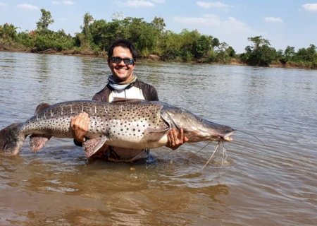 Contador captura peixe de 60 quilos e 1,70 metro no rio Brilhante em Deodápolis