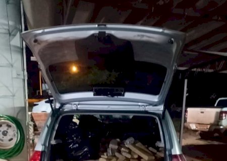 Força Tática apreende 228 quilos de maconha em Deodápolis