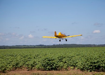 MPMS ajuíza Ação Civil Pública contra Usina Adecoagro após causar dano ambiental em Glória de Dourados, Deodápolis, Ivinhema e Novo Horizonte do Sul