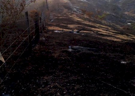 Morador de Bodoquena recebe multa de R$ 60 mil após incêndio no Pantanal sair do controle