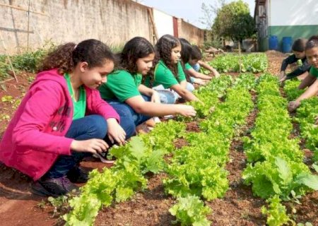Agraer participa da implantação sistema de irrigação e sombreamento em escola de Glória de Dourados