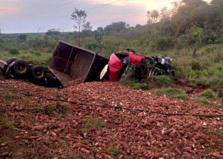 Caminhão com mandioca tomba e fica destruído entre Ivinhema e Naviraí