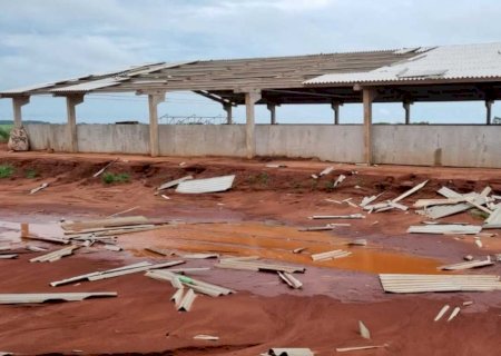 Vendaval deixa rastro de destruição e prejuízos para os produtores rurais em Glória de Dourados