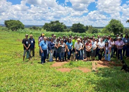 Anaurilândia recebe "Dia de Campo" do Projeto Rural Sustentável-Cerrado