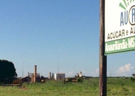 Reativação de usina até 2024 em Anaurilândia deve gerar pelo menos 650 empregos em Mato Grosso do Sul