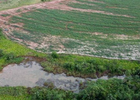 Sitiante é autuado em R$ 15 mil por degradação de área de nascentes para plantio de lavoura