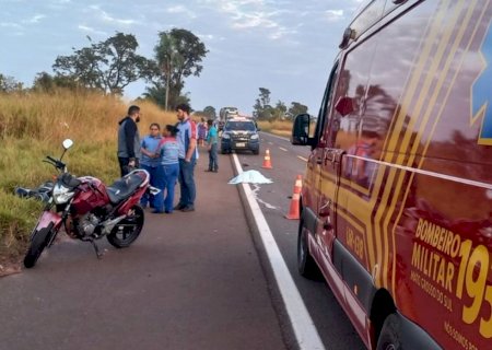 Jovem que trabalhava em restaurante de posto atropela anta e morre na BR-267 em Nova Andradina