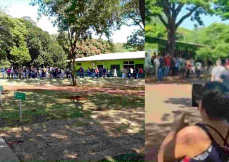 Iagro fecha frigorífico por problema sanitário e revolta funcionários em Campo Grande