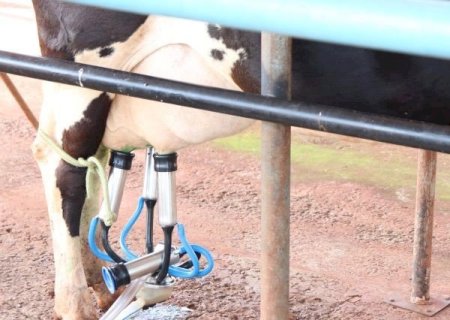 Produtores de leite de Angélica recebem apoio de Zé Teixeira