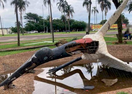 De tuiuiú caído à árvore em carros, Aeroporto de Campo Grande contabiliza estragos após ventania