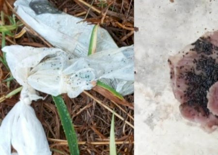 Mulher denuncia envenenamento de animais com chumbinho em carnes em Nova Andradina