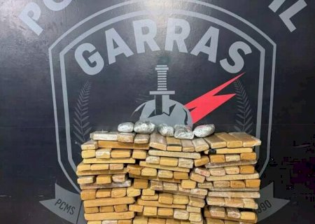 Polícia apreende 50 munições e 300 kg de droga, em Campo Grande