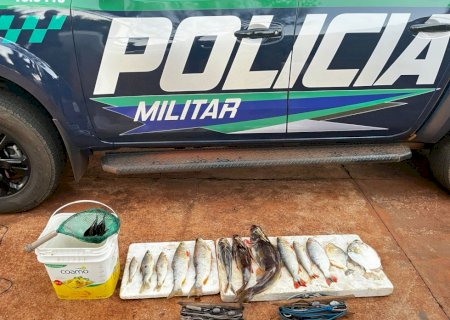 PMA de Dourados flagra pescador no Rio Brilhante com 13 exemplares de peixes, petrechos proibidos e o autua em R$ 8.082,00