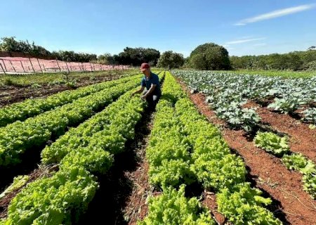 Capital dobrou n&uacute;mero de hortas urbanas em dois anos
