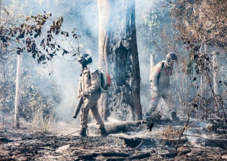 Incêndio que deixou famílias desabrigadas atingiu mais de 120 hectares em aldeia da Capital