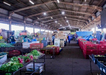 Ronda na Ceasa: Ovo, cebola e tomate ficam mais baratos em Campo Grande