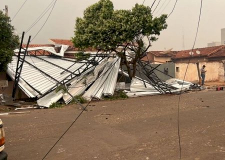 Ventania derruba árvores e estrutura metálica em Nova Andradina