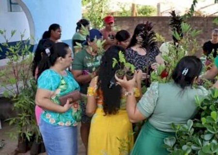 Com foco na sustentabilidade, Jateí produz e distribui mudas de árvores frutíferas e medicinais