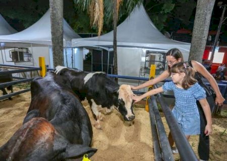 Entre novos e veteranos, Expogrande ativou nostalgia e elo com o campo