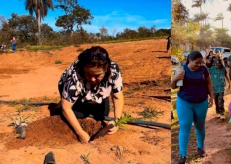 Jateí \'planta\' consciência ambiental com o projeto Jovem Protetor da Natureza
