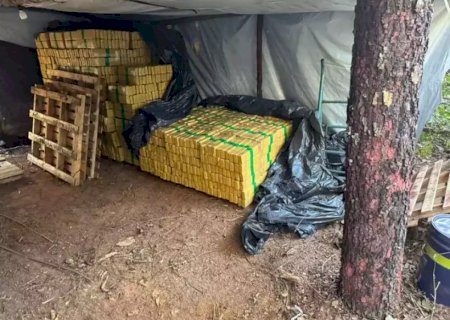Operação fecha acampamento ilegal com 8 toneladas de maconha em Campo Grande