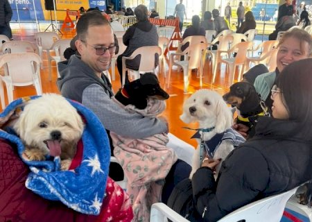 Capacitação em Campo Grande prepara municípios da 3ª região para a Caravana da Castração