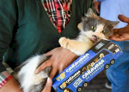 Mais 17 municípios de MS recebem caravana de castrações de pets; confira a lista