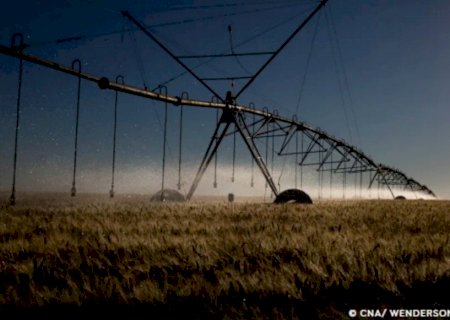 STF retoma julgamento sobre benefícios fiscais para agrotóxicos
