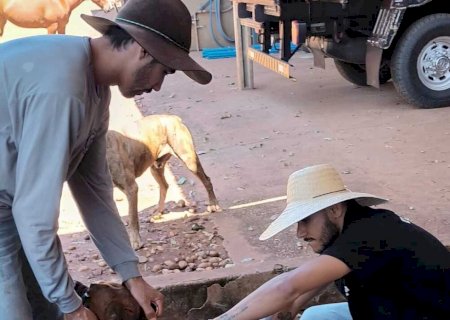 Jateí supera meta de campanha em 2025 com a Vacinação Antirrábica