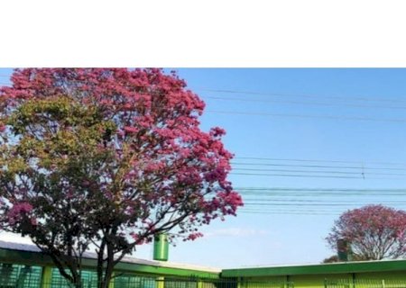 Zé Teixeira apresenta indicações para fortalecer educação em Dourados