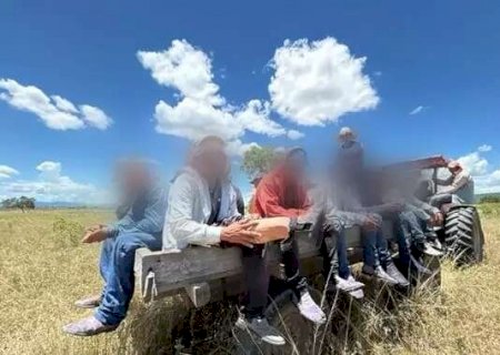 Número de adolescentes resgatados no trabalho escravo triplica em MS