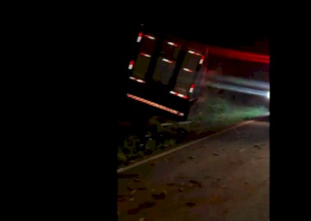 Caminhoneiro perde controle após atropelar anta, bate em árvore e é arremessado