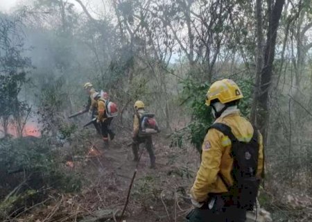 Além do fogo, brigadistas enfrentam pedras e longas caminhadas no Amolar