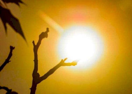 Calor extremo coloca cidades de MS entre as mais quentes do Brasil