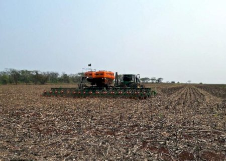 Plantio da soja em MS atinge 47,8% com chuvas irregulares