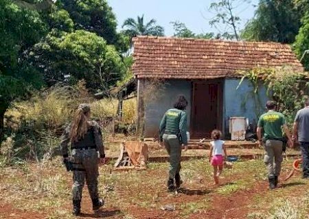 PMA descarta presen&ccedil;a de on&ccedil;a na Vila Nasser, mas segue monitorando &aacute;rea