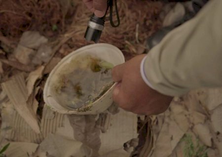 Boletim Epidemiológico: MS registra 8.272 casos confirmados de dengue