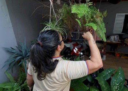 Contra o mosquito, todos do mesmo lado: Mato Grosso do Sul realiza ‘Dia D’ de Combate à Dengue