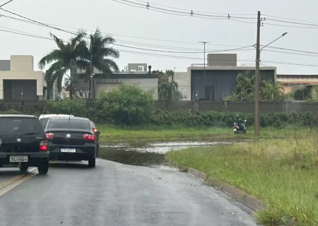 Campo Grande: Chuva de 89 mm com ventos de 45 km/h derrubou diversas árvores e levou asfalto
