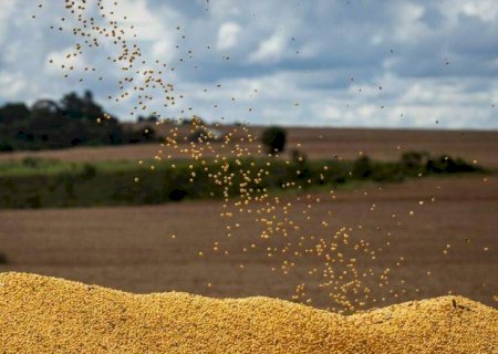 Plantio de soja avança para 61,6% da área prevista em Mato Grosso do Sul