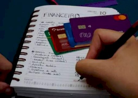 Endividamento segue estável e cartão de crédito domina dívidas