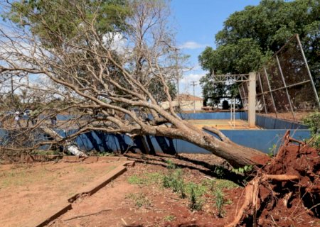Dourados vai decretar emergência para recuperar escola após temporal
