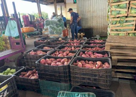 Preços da alface e da batata-doce recuam, enquanto berinjela puxa alta na Ceasa